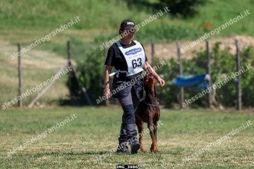 IMG_3986.jpg