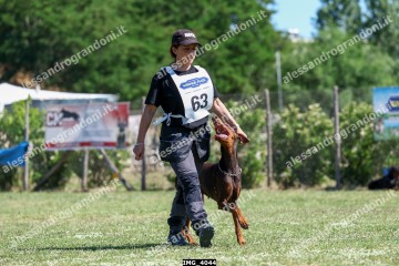 IMG_4044.jpg