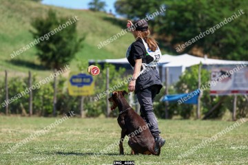 IMG_4085.jpg
