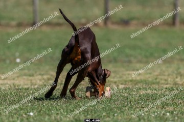 IMG_4108.jpg