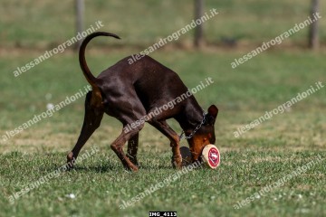 IMG_4113.jpg