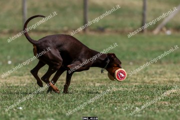 IMG_4119.jpg