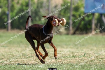 IMG_4127.jpg