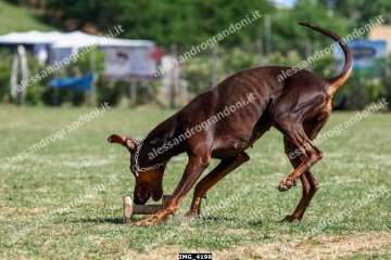 IMG_4198.jpg