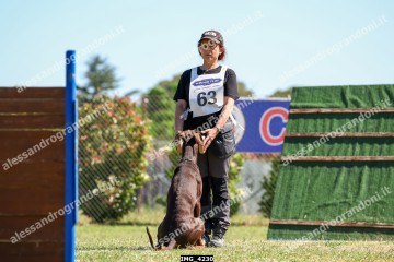 IMG_4230.jpg