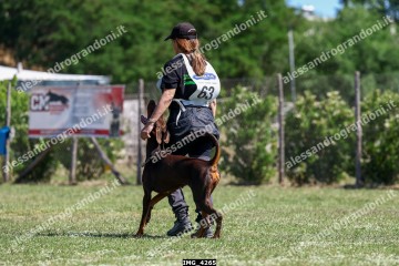 IMG_4265.jpg