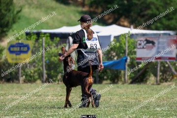 IMG_4277.jpg