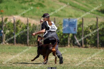 IMG_4301.jpg