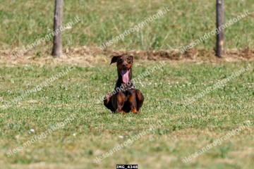 IMG_4348.jpg