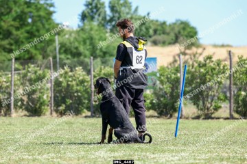 IMG_4407.jpg