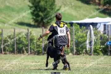 IMG_4444.jpg