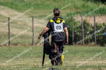 IMG_4466.jpg