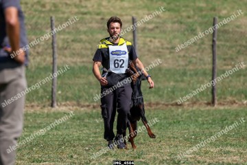 IMG_4504.jpg