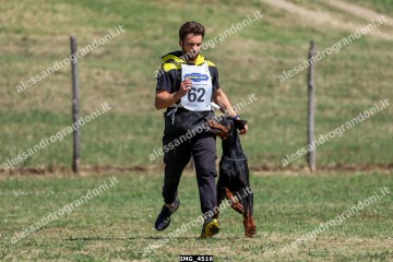 IMG_4516.jpg