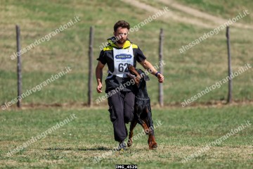 IMG_4529.jpg