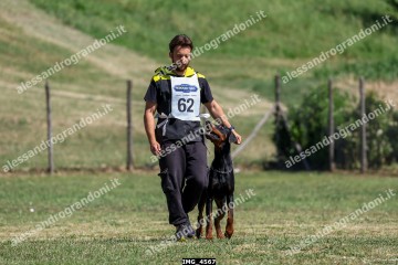 IMG_4567.jpg