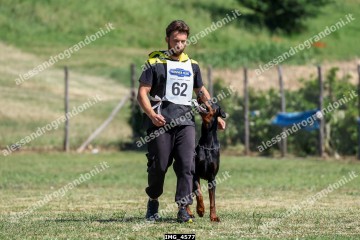 IMG_4577.jpg
