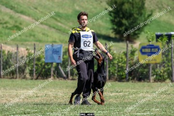 IMG_4597.jpg