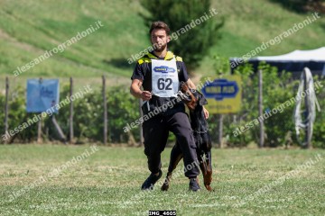 IMG_4605.jpg