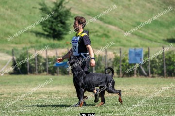IMG_4622.jpg