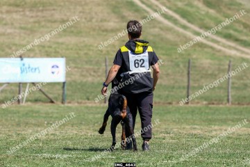 IMG_4643.jpg