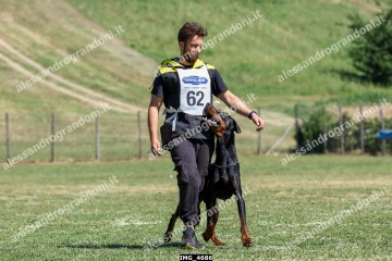IMG_4686.jpg