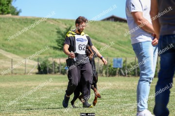 IMG_4698.jpg