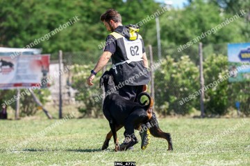 IMG_4770.jpg
