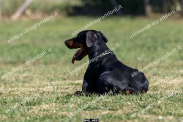 IMG_4850.jpg