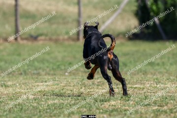 IMG_4864.jpg