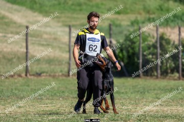 IMG_4916.jpg