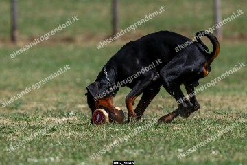 IMG_5046.jpg