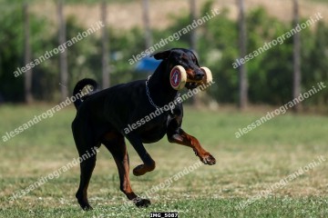 IMG_5087.jpg