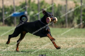 IMG_5091.jpg