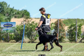 IMG_5136.jpg