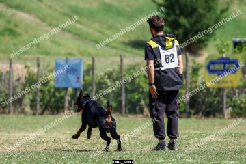 IMG_5182.jpg
