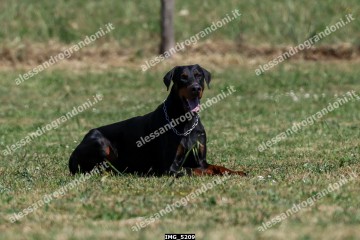 IMG_5209.jpg