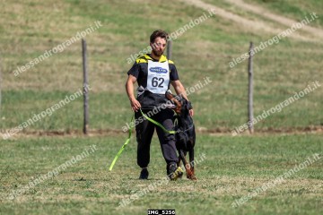 IMG_5256.jpg
