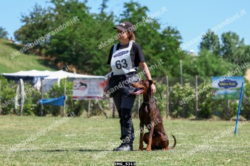 IMG_5313.jpg