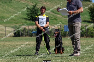 IMG_5354.jpg