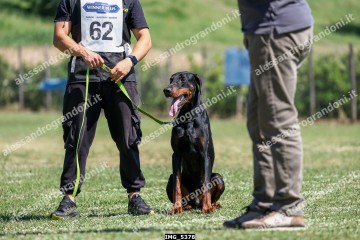 IMG_5378.jpg