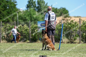 IMG_5486.jpg