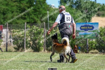 IMG_5496.jpg