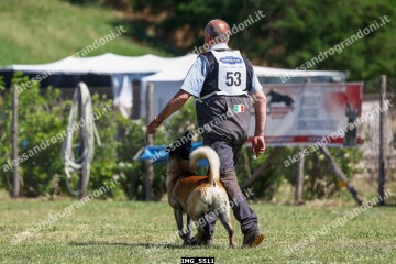 IMG_5511.jpg