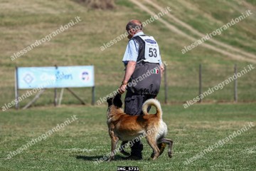 IMG_5733.jpg