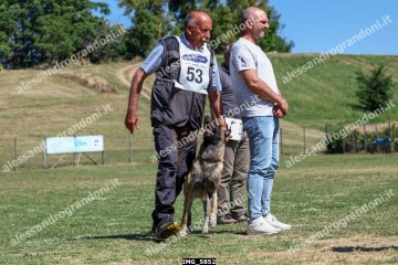IMG_5852.jpg