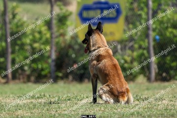 IMG_5877.jpg