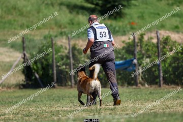 IMG_5888.jpg