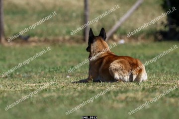 IMG_5913.jpg