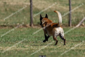 IMG_5933.jpg